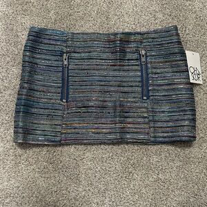 Chaser Multicolor Striped Skirt